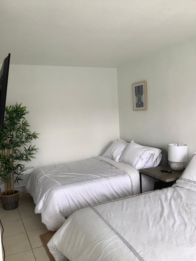 Hotel Motel Lauderdale Inn Fort Lauderdale Esterno foto